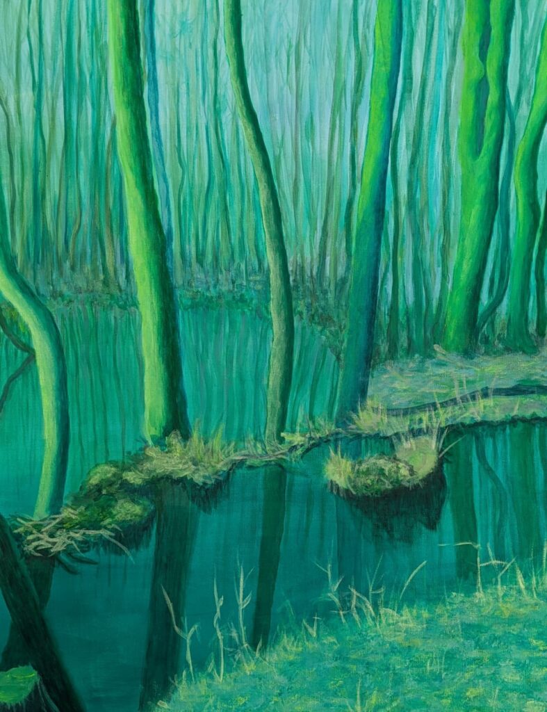 KUNSTHAUS SCHENEFELD | Ausstellungen